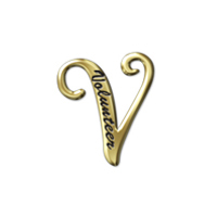 Script "V" Gold Pin